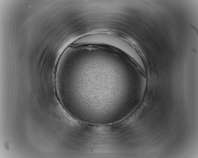 X0000099470808200805161109