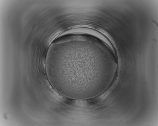 X0000099470809200805161109