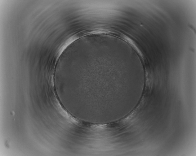 X0000099470810200805161109