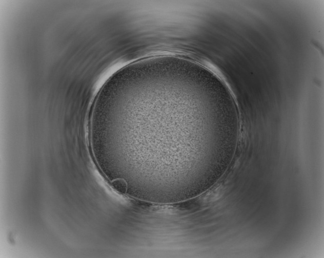 X0000099470811200805161109