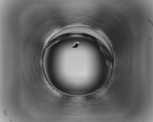 X0000099470813200805161109