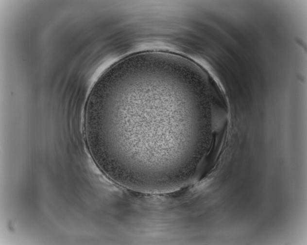 X0000099470815200805161109