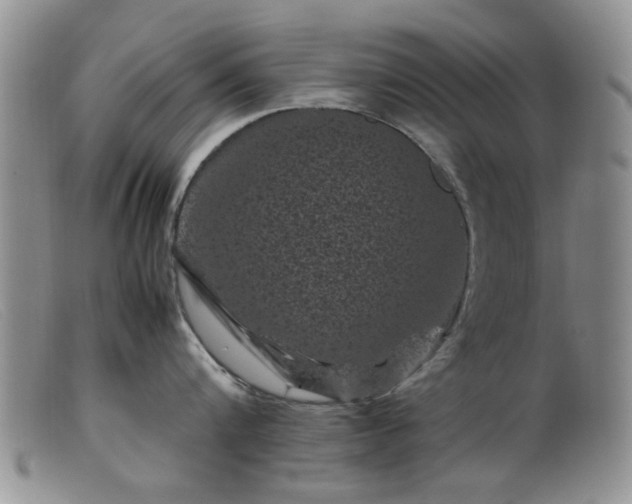X0000099470816200805161109