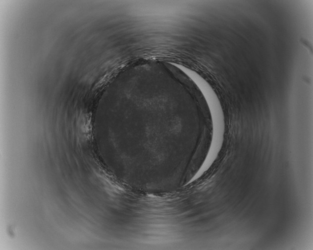 X0000099470818200805161108