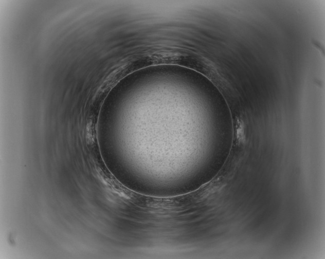 X0000099470819200805161108