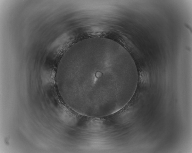 X0000099470820200805161108