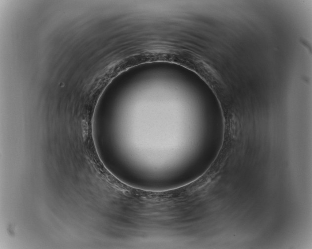 X0000099470821200805161108
