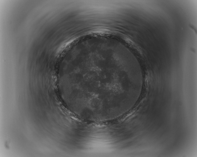 X0000099470822200805161108