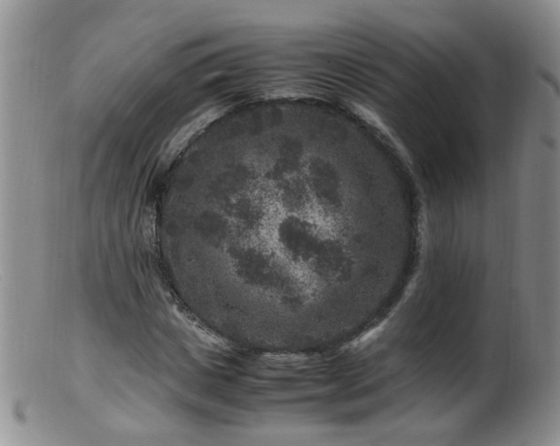 X0000099470825200805161109
