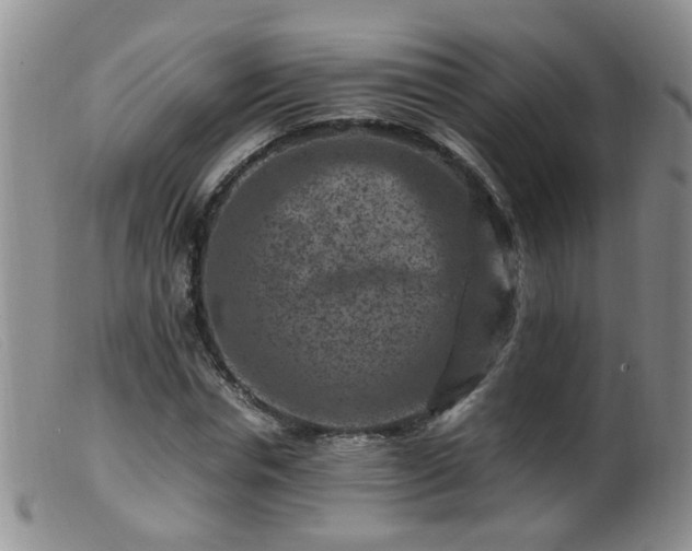 X0000099470826200805161109