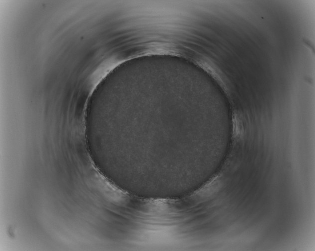 X0000099470828200805161109