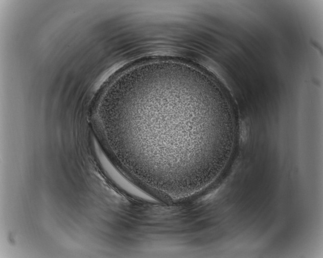 X0000099470829200805161109