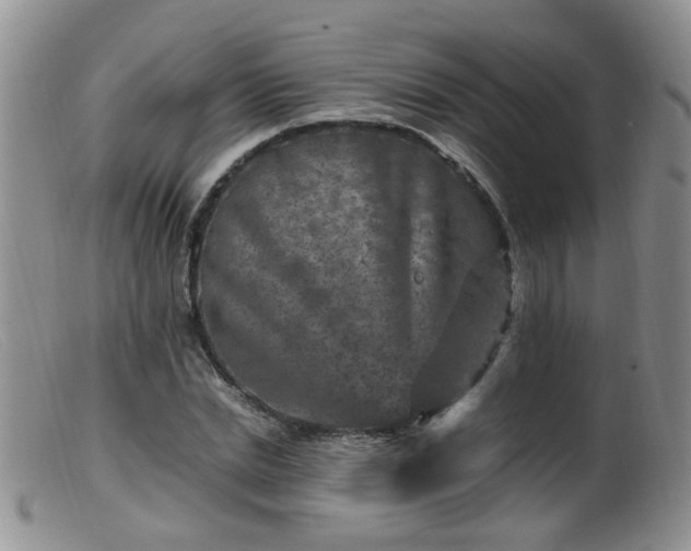 X0000099470830200805161109