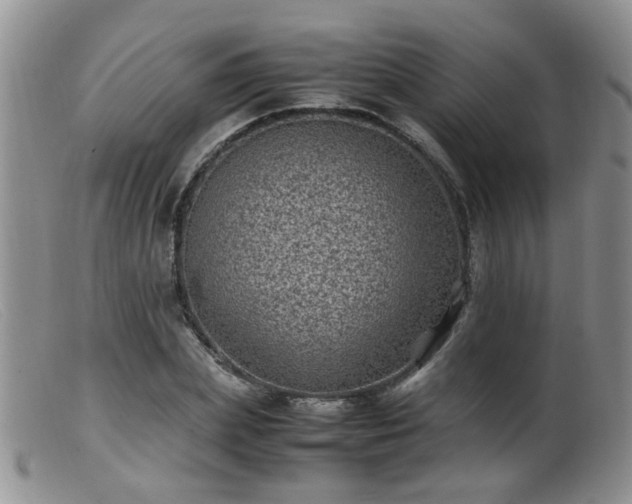 X0000099470831200805161109