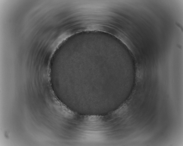 X0000099470832200805161109