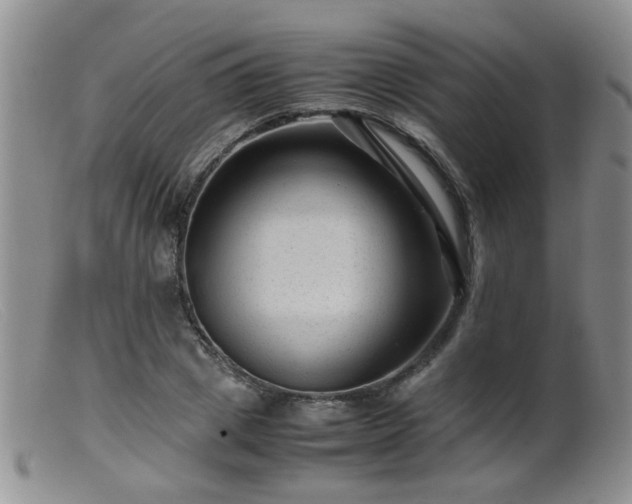 X0000099470833200805161109