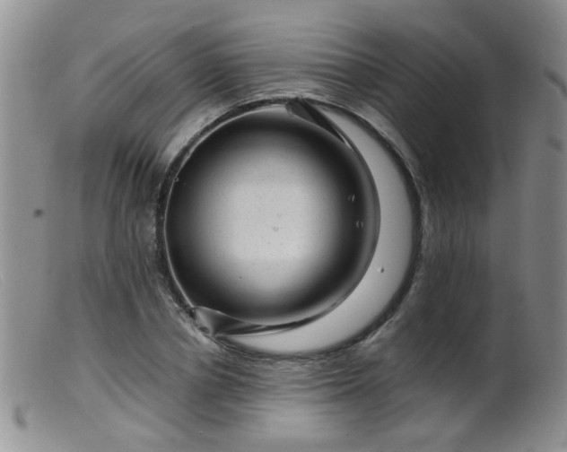 X0000099470834200805161109
