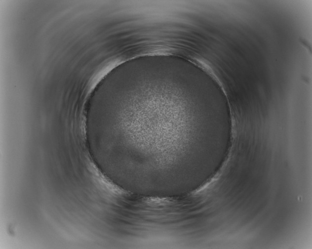X0000099470835200805161109