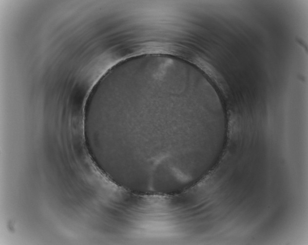 X0000099470836200805161109