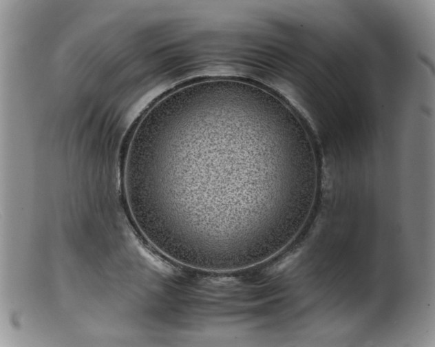 X0000099470837200805161109