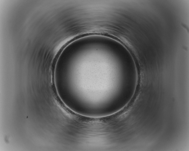 X0000099470838200805161109