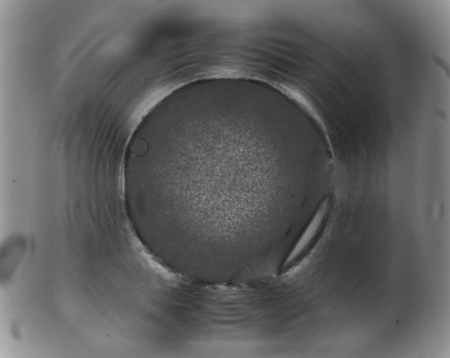 X0000099470839200805161109