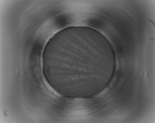 X0000099470840200805161109
