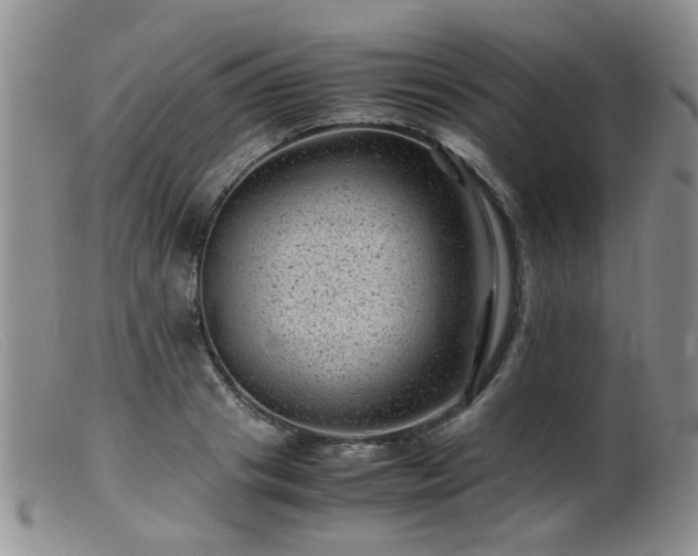 X0000099470841200805161109