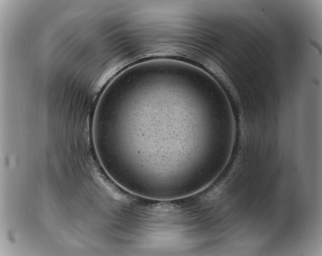 X0000099470842200805161109