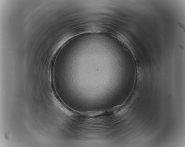 X0000099470843200805161109