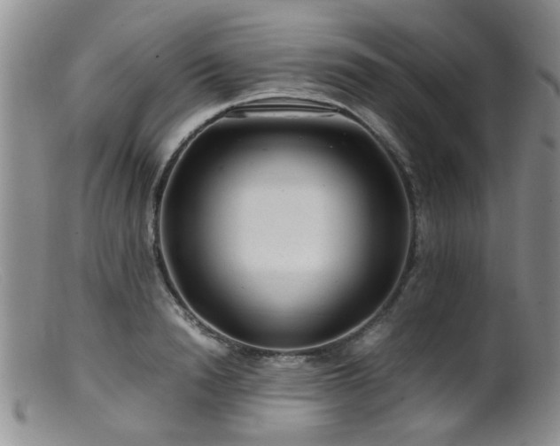 X0000099470846200805161109