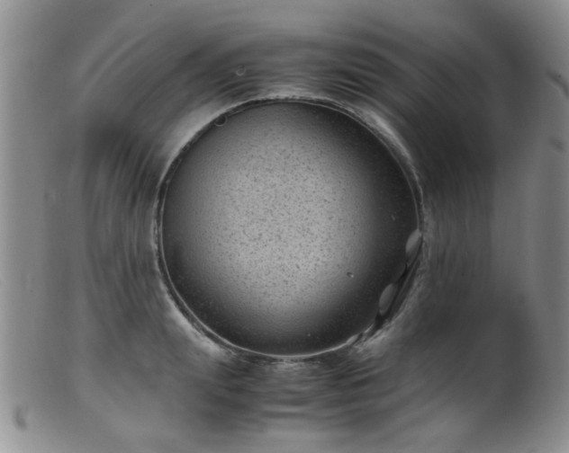 X0000099470847200805161109