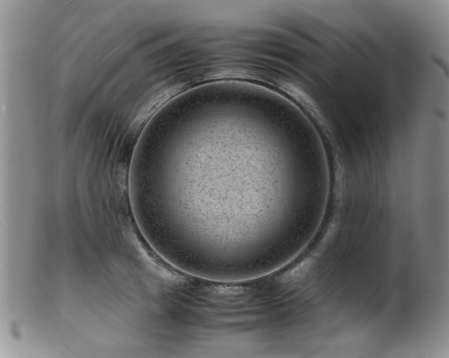 X0000099470849200805161109