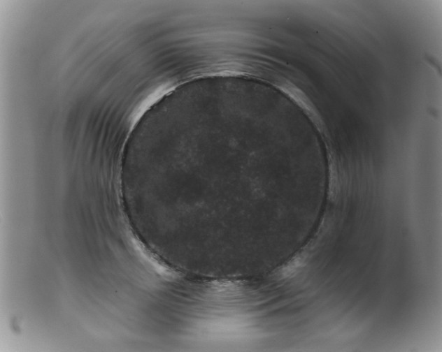 X0000099470850200805161109