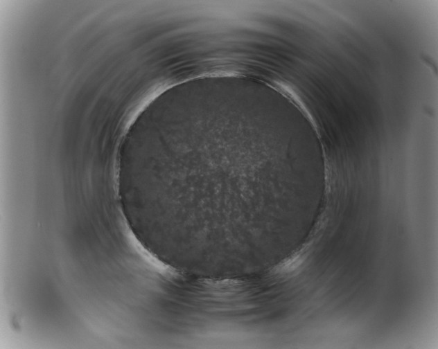 X0000099470851200805161109