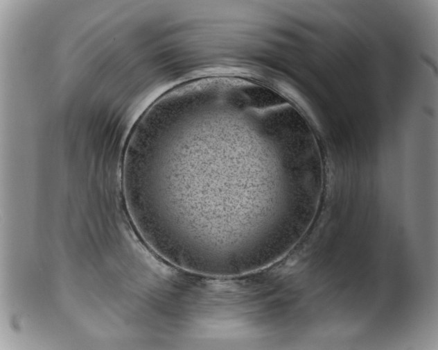 X0000099470852200805161109
