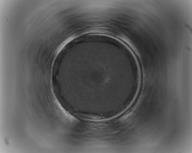 X0000099470853200805161109