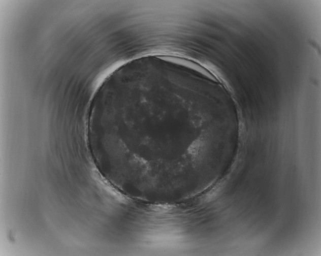 X0000099470854200805161109