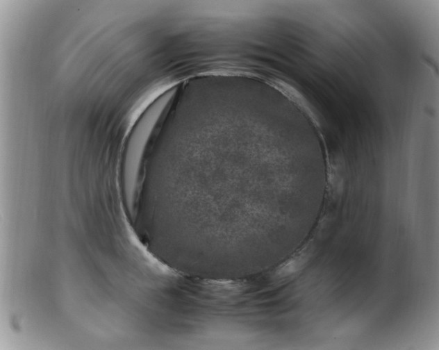 X0000099470855200805161109