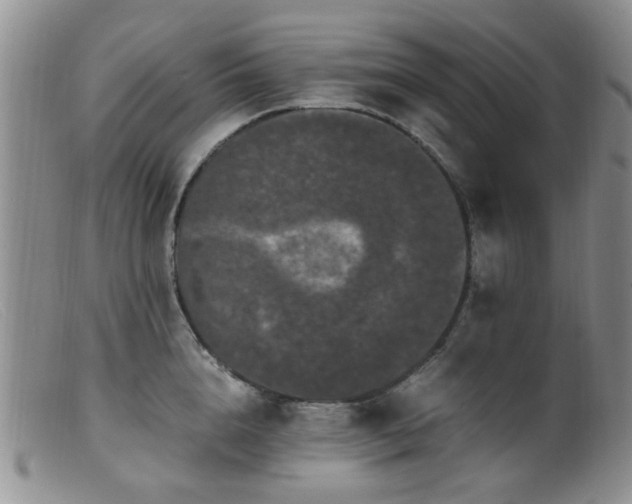 X0000099470856200805161109