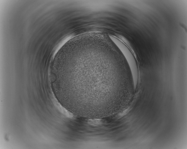X0000099470859200805161109