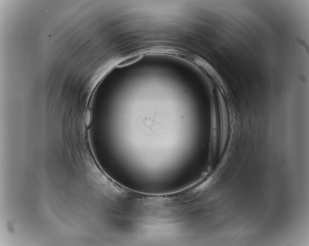 X0000099470860200805161109