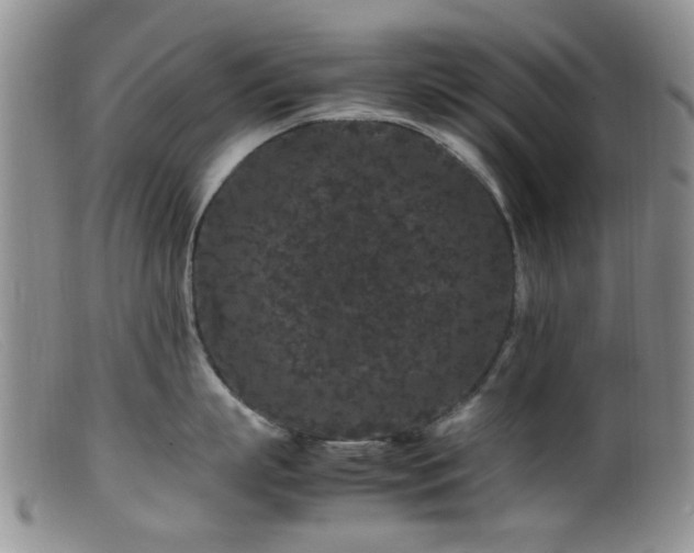 X0000099470863200805161109