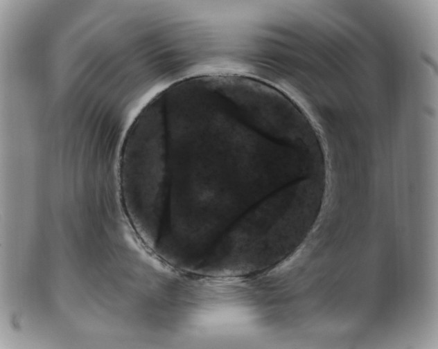X0000099470864200805161109