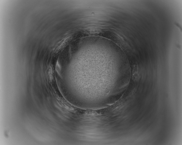 X0000099470866200805161108