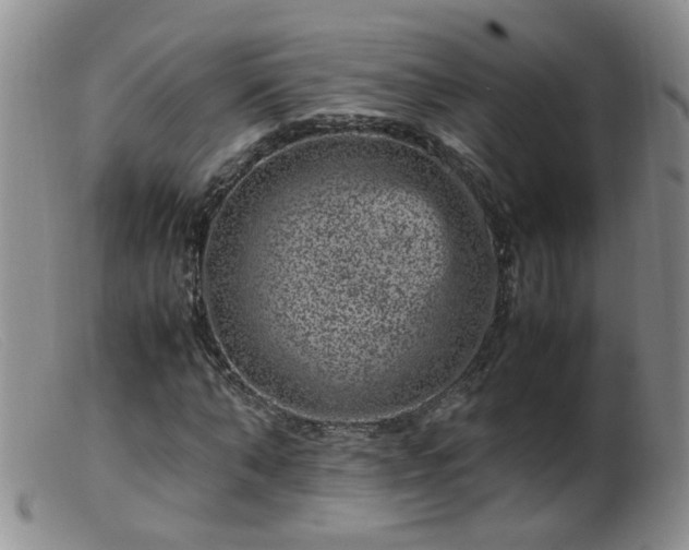 X0000099470870200805161108