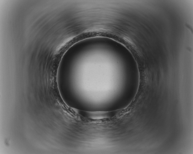 X0000099470872200805161108
