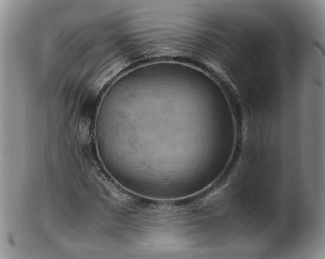 X0000099470873200805161108