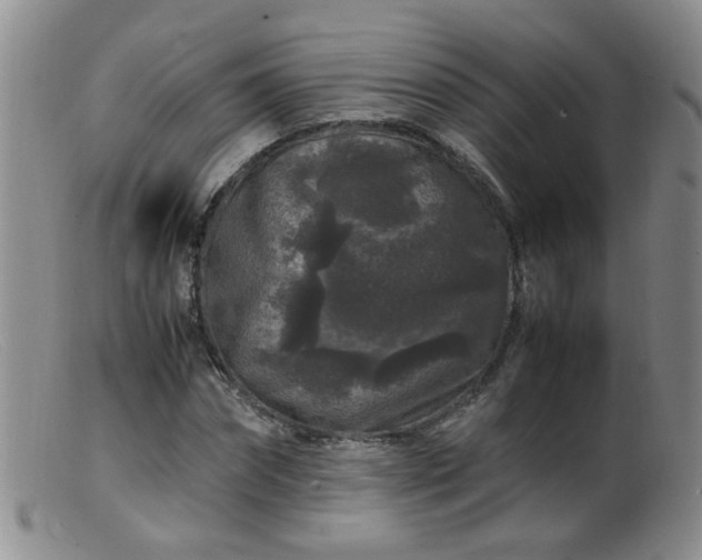 X0000099470874200805161108