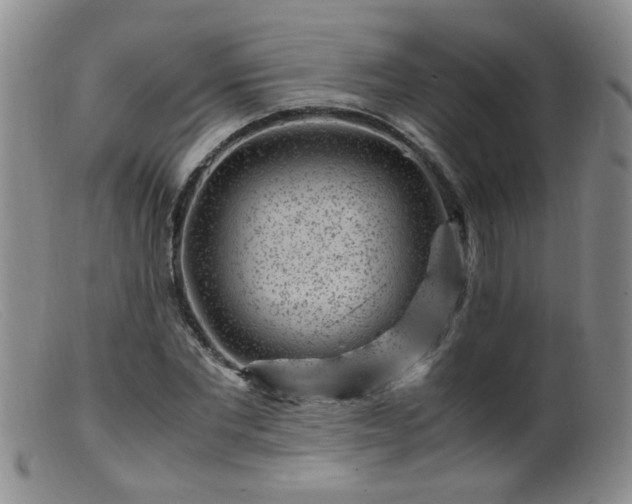 X0000099470877200805161108